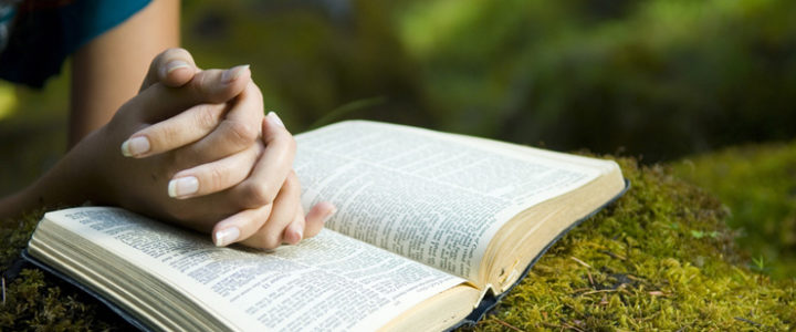 How Reading The Bible Can Set You Free